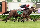 Racing at Mountaineer