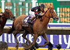 Ginger Punch Florida Horse of Year Ginger Punch Florida Horse of Year