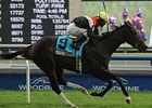 Wonder Where Stakes winner Marketing Mix faces 13 in the Pucker Up.