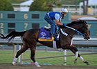 My Miss Aurelia
<br><a target="blank" href="http://photos.bloodhorse.com/BreedersCup/2012-Breeders-Cup/Works/26130247_gxH6nS#!i=2180101399&k=gS7gcPZ">Order This Photo</a>