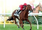 'Old Hollywood' Makes for Fun Del Mar Opener 'Old Hollywood' Makes for Fun Del Mar Opener