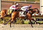 Concave fights off She's a Tiger to win the Sorrento.