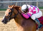 Maryland Million Classic Draws Seven Maryland Million Classic Draws Seven