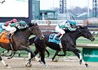 Frivolous won last year's Falls City Handicap at Churchill