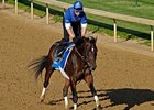 Desert Party working at Churchill Downs on April 25.<br><a target="blank" href="http://www.bloodhorse.com/horse-racing/photo-store?ref=http%3A%2F%2Fpictopia.com%2Fperl%2Fgal%3Fprovider_id%3D368%26ptp_photo_id%3D8040102%26ref%3Dstory">Order This Photo</a>