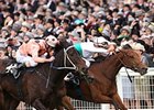 Black Caviar Remains Unbeaten in 22 Starts
<br><a target="blank" href="http://photos.bloodhorse.com/AtTheRaces-1/at-the-races-2012/22274956_jFd5jM#!i=1927094396&k=kghRNXm">Order This Photo</a>
