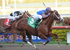 Munnings, Musket Man Square Off in Carter Munnings, Musket Man Square Off in Carter