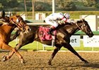 Ariege holds off favored Golden Doc A by a half-length to take the Santa Anita Oaks.<br><a target="blank" href="http://www.bloodhorse.com/horse-racing/photo-store?ref=http%3A%2F%2Fpictopia.com%2Fperl%2Fgal%3Fprovider_id%3D368%26ptp_photo_id%3D3789817%26ref%3Dstory">Order This Photo</a>