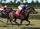 Kya One rolls home to win the My Charmer Handicap.