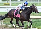 Upstart winning last year's Holy Bull Stakes