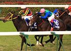 Buena Vista wins the 2011 Japan Cup.