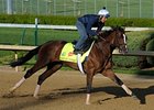 Normandy Invasion Retired From Racing Normandy Invasion Retired From Racing