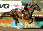 Two Step Salsa Skips Away in Affirmed Two Step Salsa Skips Away in Affirmed