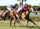 J'Ray was second in last year's Suwannee and is the lone contender that enters off a stakes win.