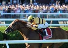 Wise Dan
<br><a target="blank" href="http://photos.bloodhorse.com/AtTheRaces-1/at-the-races-2013/27257665_QgCqdh#!i=2691923573&k=K2Vf5QL">Order This Photo</a>