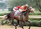 Win Willy overtakes Old Fashioned to upset the Rebel Stakes.