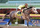 Graydar bounds home to win the Donn Handicap.<br><a target="blank" href="http://photos.bloodhorse.com/AtTheRaces-1/at-the-races-2013/27257665_QgCqdh#!i=2357938592&k=S4mFdX6">Order This Photo</a>
