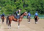 Big Brown training prior to the Belmont (gr. I).