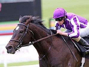 So You Think Cruises in Tattersalls Gold Cup So You Think Cruises in Tattersalls Gold Cup