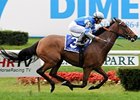 Grade I winner Dynaforce makes her 2009 debut in the Gallorette Handicap.<br><a target="blank" href="http://www.bloodhorse.com/horse-racing/photo-store?ref=http%3A%2F%2Fpictopia.com%2Fperl%2Fgal%3Fprovider_id%3D368%26ptp_photo_id%3D6084313%26ref%3Dstory">Order This Photo</a>