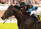 Mizdirection will be included in the Three Chimneys Sales consignment.