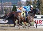 Nicole H won the Interborough Handicap in 2011 and 2012 (shown).