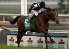 Joshua Tree wins the Canadian International.