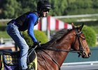 Undefeated Lookin At Lucky drew the outside post 13.<br><a target="blank" href="http://www.bloodhorse.com/horse-racing/photo-store?ref=http%3A%2F%2Fpictopia.com%2Fperl%2Fgal%3Fprovider_id%3D368%26ptp_photo_id%3D8598915%26ref%3Dstory">Order This Photo</a>