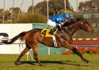 Better Lucky wins the Matriarch Stakes.
