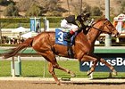 Judy the Beauty has three wins and three second-place finishes in six lifetime starts at the distance of the Honorable Miss.