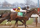 Arena Elvira
<br><a target="blank" href="http://photos.bloodhorse.com/AtTheRaces-1/at-the-races-2013/27257665_QgCqdh#!i=2299363359&k=hS8S6tR">Order This Photo</a>