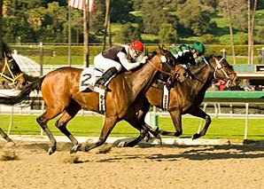 Santa Monica Upset Cheers Underdogs Santa Monica Upset Cheers Underdogs