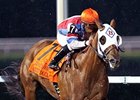 Groupie Doll faces 7 in the Thoroughbred Club of America Stakes.