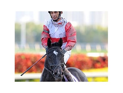 Hymn Book
<br><a target="blank" href="http://www.bloodhorse.com/horse-racing/photo-store?ref=http%3A%2F%2Fpictopia.com%2Fperl%2Fgal%3Fprovider_id%3D368%26ptp_photo_id%3D9812086%26ref%3Dstory">Order This Photo</a>