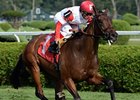 Granny Mc's Kitten takes the P.G. Johnson Stakes.<br><a target="blank" href="http://photos.bloodhorse.com/AtTheRaces-1/at-the-races-2013/27257665_QgCqdh#!i=2729861866&k=X7HdPfn">Order This Photo</a>