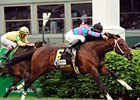 Mr. Nightlander never looks back in the Aegon Turf Sprint.<br><a target="blank" href="http://www.bloodhorse.com/horse-racing/photo-store?ref=http%3A%2F%2Fpictopia.com%2Fperl%2Fgal%3Fprovider_id%3D368%26ptp_photo_id%3D4376645%26ref%3Dstory">Order This Photo</a>