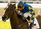 Favorite Tight Precision doesn't disappoint in the Sunshine Millions Filly and Mare turf.<br><a target="blank" href="http://www.bloodhorse.com/horse-racing/photo-store?ref=http%3A%2F%2Fpictopia.com%2Fperl%2Fgal%3Fprovider_id%3D368%26ptp_photo_id%3D8769551%26ref%3Dstory">Order This Photo</a>