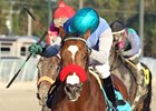 Goldencents won the Delta Jackpot at Delta Downs Nov. 17.