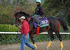 Trinniberg<br><a target="blank" href="http://photos.bloodhorse.com/BreedersCup/2013-Breeders-Cup/Breeders-Cup/32986083_QMHXWK#!i=2869602926&k=8zSgDVf">Order This Photo</a>