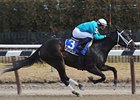 Cicada Draws Six 3-Year-Old Fillies Cicada Draws Six 3-Year-Old Fillies