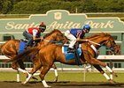 Curlin working at Santa Anita prior to the Breeders' Cup <br><a target="blank" href="http://www.bloodhorse.com/horse-racing/photo-store?ref=http%3A%2F%2Fpictopia.com%2Fperl%2Fgal%3Fprovider_id%3D368%26ptp_photo_id%3D6315883%0D%0A%26ref%3Dstory">Order This Photo</a>