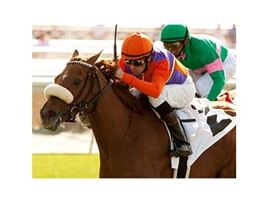 Malibu Pier has won five of 10 starts, including the Santa Barbara.<br><a target="blank" href="http://www.bloodhorse.com/horse-racing/photo-store?ref=http%3A%2F%2Fpictopia.com%2Fperl%2Fgal%3Fprovider_id%3D368%26ptp_photo_id%3D9493857%26ref%3Dstory">Order This Photo</a>