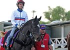 The Fugue at Santa Anita for the Breeders' Cup.
<br><a target="blank" href="http://photos.bloodhorse.com/BreedersCup/2013-Breeders-Cup/Breeders-Cup/32986083_QMHXWK#!i=2869115838&k=3tjwN37">Order This Photo</a>