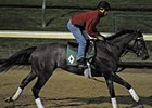 Unrivaled Belle Likely for Ladies Classic Unrivaled Belle Likely for Ladies Classic