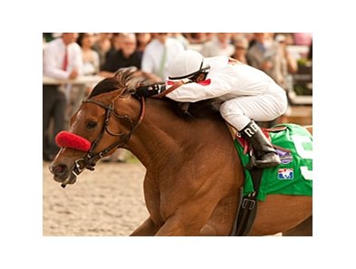 Tres Borrachos is the 119-pound top weight in the Native Diver Handicap.