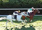 Preferential wins the Rood and Riddle Dowager Stakes.