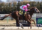 Carolyn's Cat and Alan Garcia cruise to victory in the Cicada Stakes.