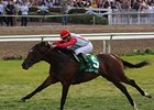 Late Run Earns Diamond Tycoon FG 'Cap Late Run Earns Diamond Tycoon FG 'Cap