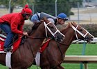 Casse 2-Year-Olds, Others Work at Churchill Casse 2-Year-Olds, Others Work at Churchill