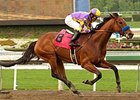 Switch in the Santa Monica Stakes.